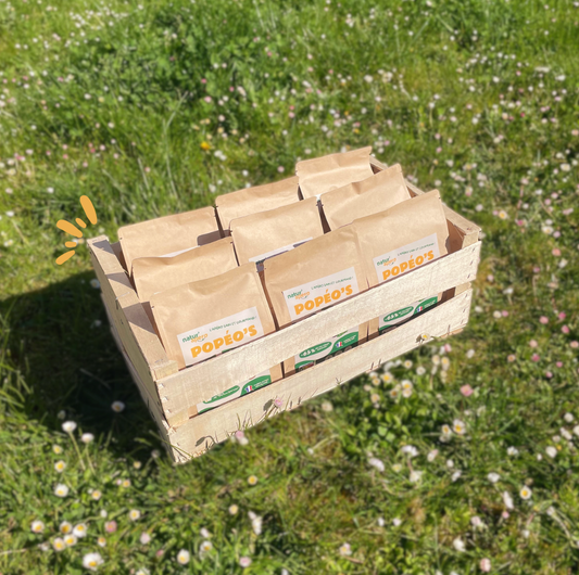 🌸 Printemps : le retour des apéros healthy et gourmands avec POPÉO'S !